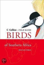 Birds Of Southern Africa
