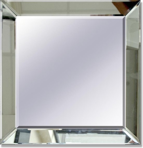 Spiegel met Spiegelrand 40X40 - Zilver