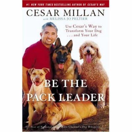 Cesar Millan met vier honden, met de titel "BE THE PACK LEADER".