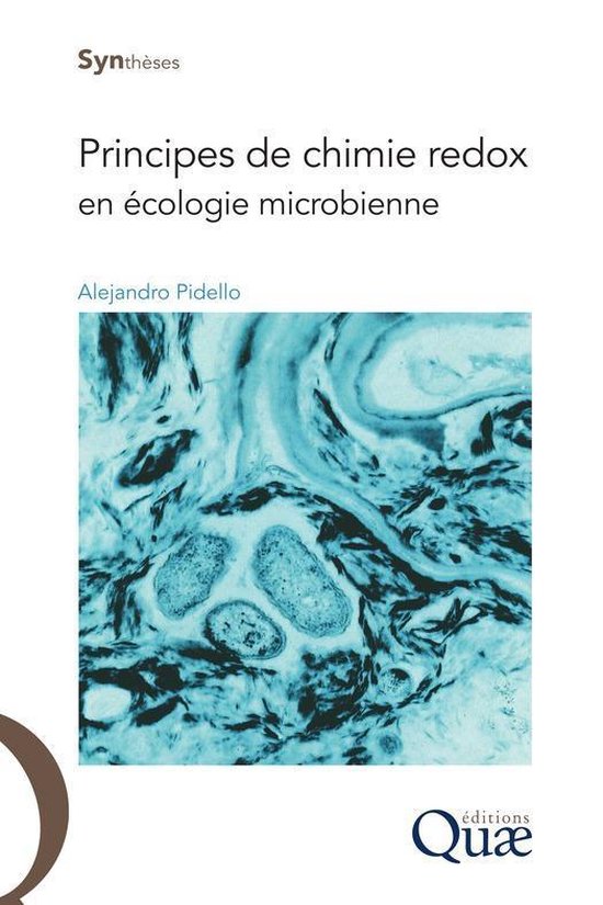 Synthèses - Principes de chimie redox en écologie microbienne