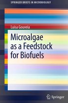 SpringerBriefs in Microbiology - Microalgae as a Feedstock for Biofuels