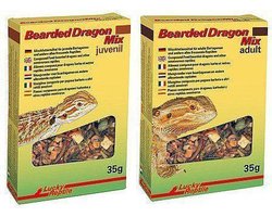 Lucky Reptile Bearded Dragon Mix Juvenil - 35 gr - Reptielenvoer