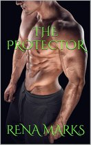 Stargazer Series 4 - The Protector