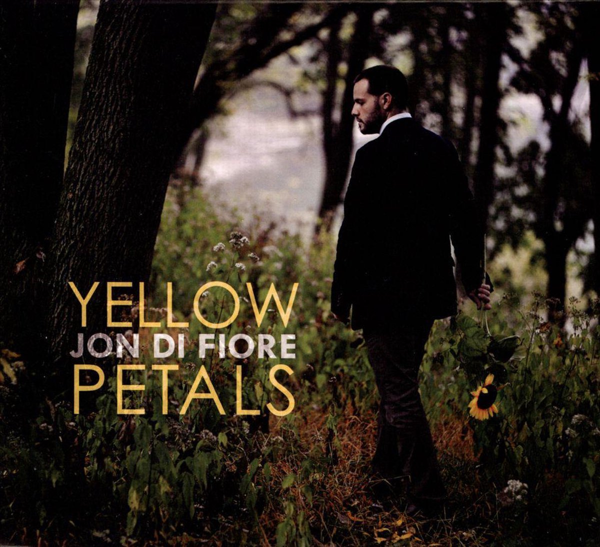 Yellow Petals