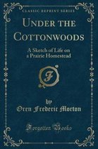 Under the Cottonwoods