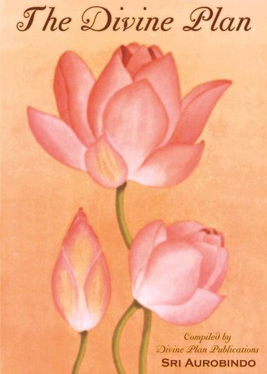 The Divine Plan - cover