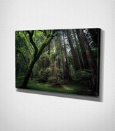 Green Light Canvas - 100 x 70 cm