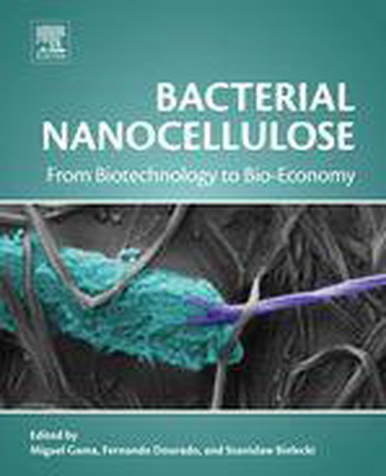 Bacterial Nanocellulose: From Biotechnology to Bio-Economy - cover