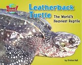 Leatherback Turtle