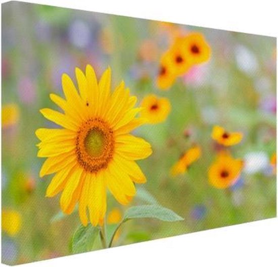 Toile de tournesol 30x20 cm - petit - Tirage photo sur toile (Décoration murale salon / chambre) / Peintures Fleurs sur toile