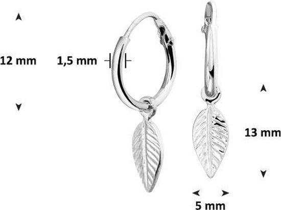 Glams Oorringen Veer - Zilver