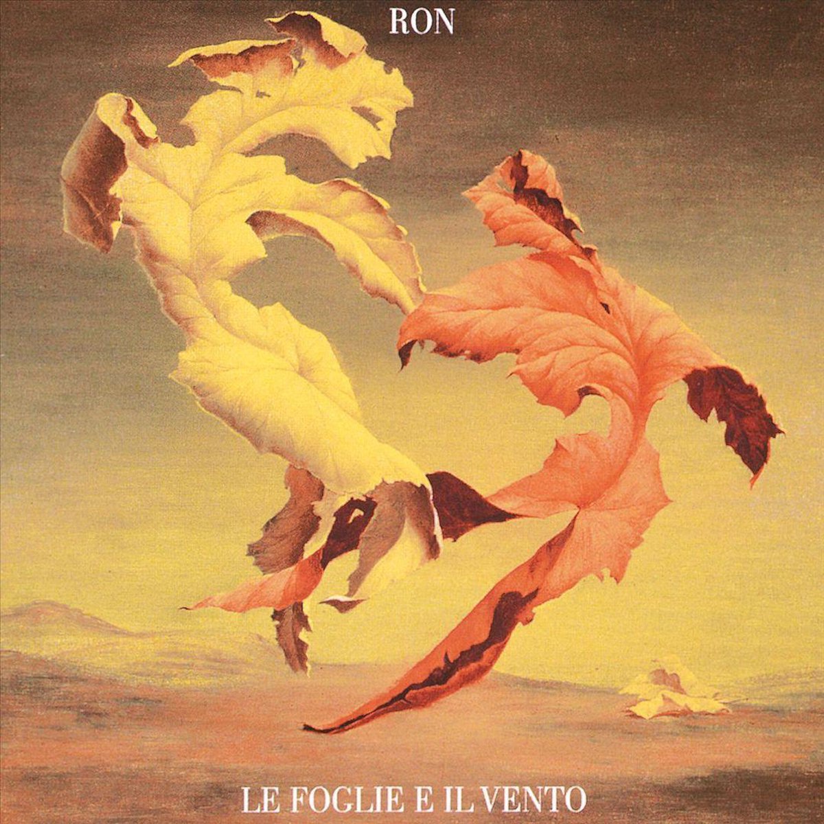 Le Foglie E Il Vento