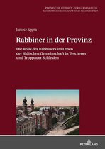 Europaeische Studien zur Germanistik, Kulturwissenschaft und Linguistik 9 - Rabbiner in der Provinz