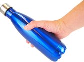 WellTravelled - RVS Drinkfles - Thermosfles - Dubbelwandige Fles - Isoleerfles - met Draaidop - Blauw