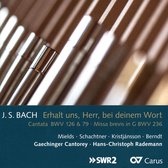 Dorothee Mields & Benno Schachtner & Bene Kristjansson - Erhalt Uns, Herr, Bei Deinem Wort Cantata (CD)