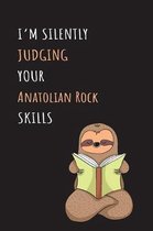 I'm Silently Judging Your Anatolian Rock Skills