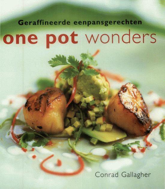 9789055017911 - One Pot Wonders
