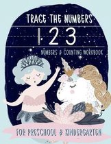 Trace the Numbers