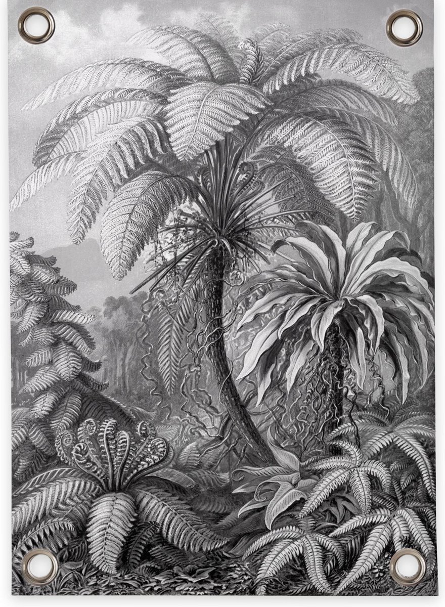 Villa Madelief Tuinposter Jungle zwart wit - 50x70cm - Vinyl - Tuindecoratie - Tuinschilderij - Schuttingposter - Tuindoek - Buitenposter voor in de tuin - Waterafstotend - Organische Collectie