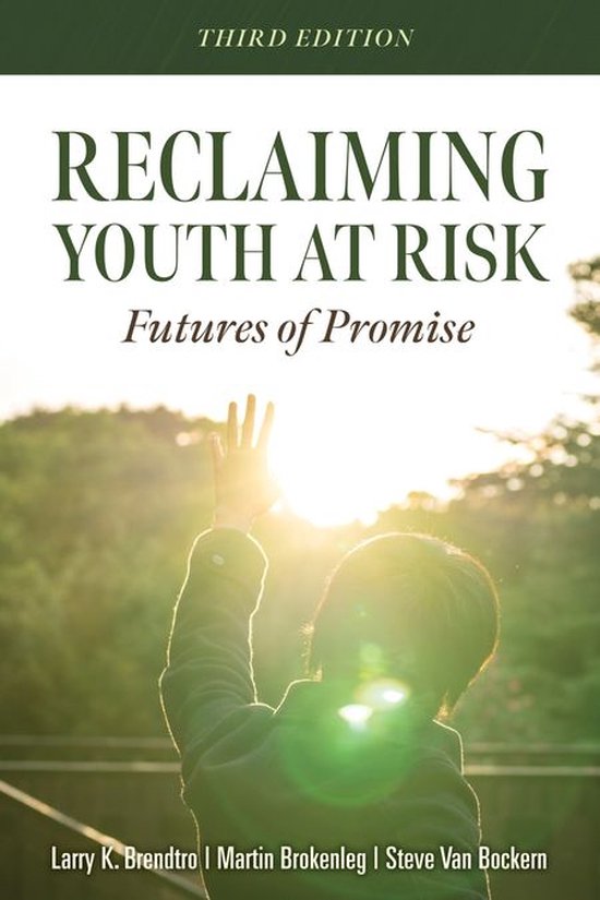 Reclaiming Youth at Risk - cover