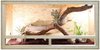 Reptielenverblijf Terrarium van Hout - Medium - 80 cm x 40 cm x 40 cm