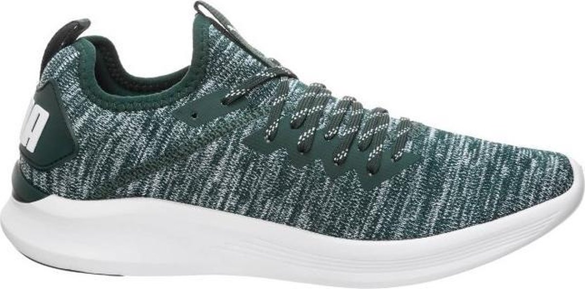 Puma ignite hotsell evoknit flash green