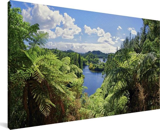 Panorama du parc national de Whanganui en Nouvelle-Zélande Toile 80x40 cm - Tirage photo sur toile (Décoration murale salon / chambre)
