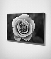 White Flower Canvas - 30 x 40 cm - Bloemen - Schilderij - Canvas - Slaapkamer - Wanddecoratie  - Slaapkamer - Foto op canvas