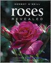 Roses Revealed