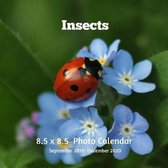 Insects 8.5 X 8.5 Photo Calendar September 2019 -December 2020