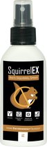 SquirrelEX