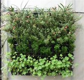 Plantenhanger 9 zakken - Plantenbak - Plantenrek - Hangende tuin - Verticale moestuin