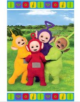 Teletubbies Uitdeelzakjes 23cm 8st