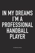 In My Dreams I'm A Professional Handball Player