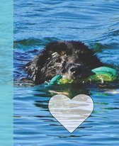 Cute Dog Swimming in Lake Arrowhead Wide-ruled School Composition Lined Notebook