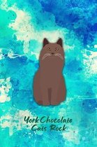 York Chocolate Cats Rock