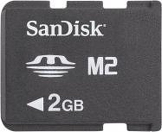 Sandisk SDMSM2M-002G-B35 2GB M2 flashgeheugen