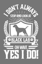 I Don't Always Stop and Look At Black Lab OH Wait, Yes I Do!
