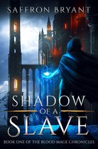 The Blood Mage Chronicles 1 - Shadow of a Slave