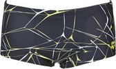 Arena M Water Low Waist Short D2