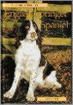The Pet Owner's Guide To The English Springer Spaniel