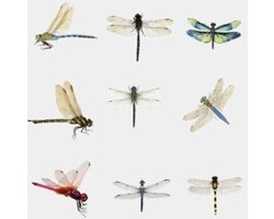 Stickerset Libelle - 30 stuks - Stickers Libellen