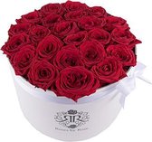 Rode rozen - Flowerbox verse rozen - XL formaat wit