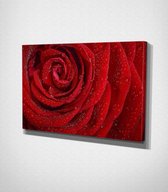 Red Flower Canvas - 100 x 70 cm - Bloemen - Schilderij - Canvas - Slaapkamer - Wanddecoratie  - Slaapkamer - Foto op canvas