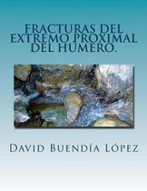 Fracturas del extremo proximal del humero.