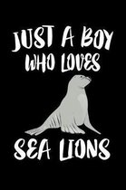 Just A Boy Who Loves Sea Lions