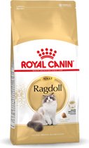 Royal Canin Ragdoll Adult - Aliments pour chats - 10 kg