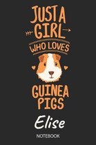 Just A Girl Who Loves Guinea Pigs - Elise - Notebook