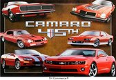 TH Commerce - Chevrolet Camaro 45 TH - Metalen Vintage Decoratie Wandbord - Garage - Reclamebord - Muurplaat - Retro - Wanddecoratie -Tekstbord - Nostalgie - 30 x 20 cm 0864
