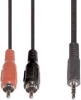 e+p B 113/10 audio kabel 10 m 2 x RCA 3.5mm Zwart